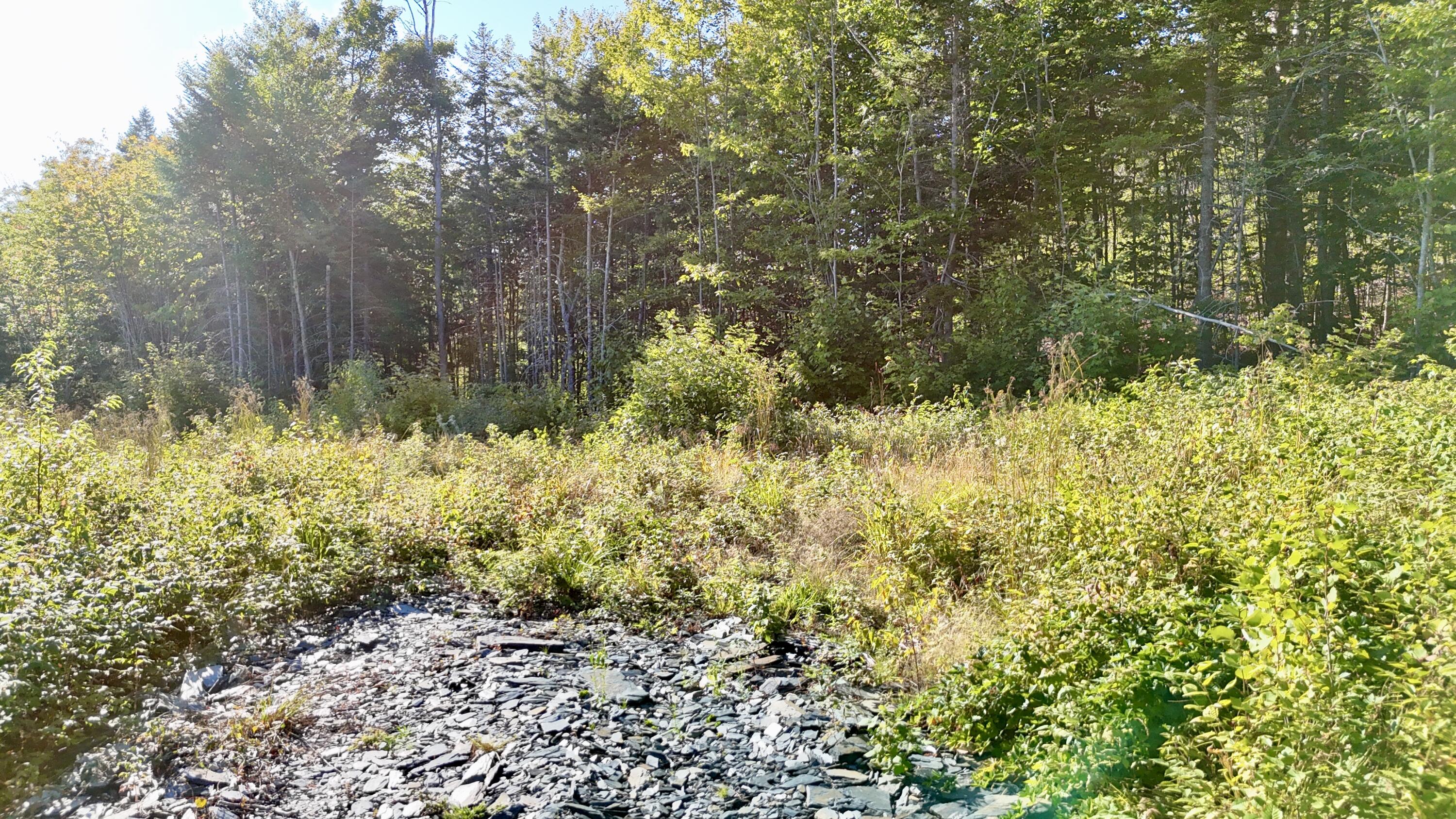 Lot 11 West Ridge Drive Greenville ME 04441