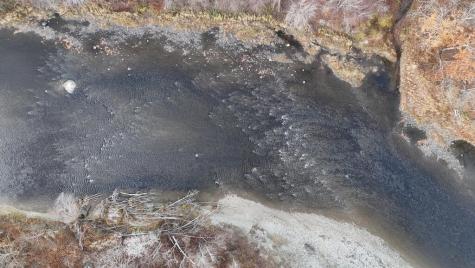 Lot 59&60 Starks Road New Sharon ME 04955