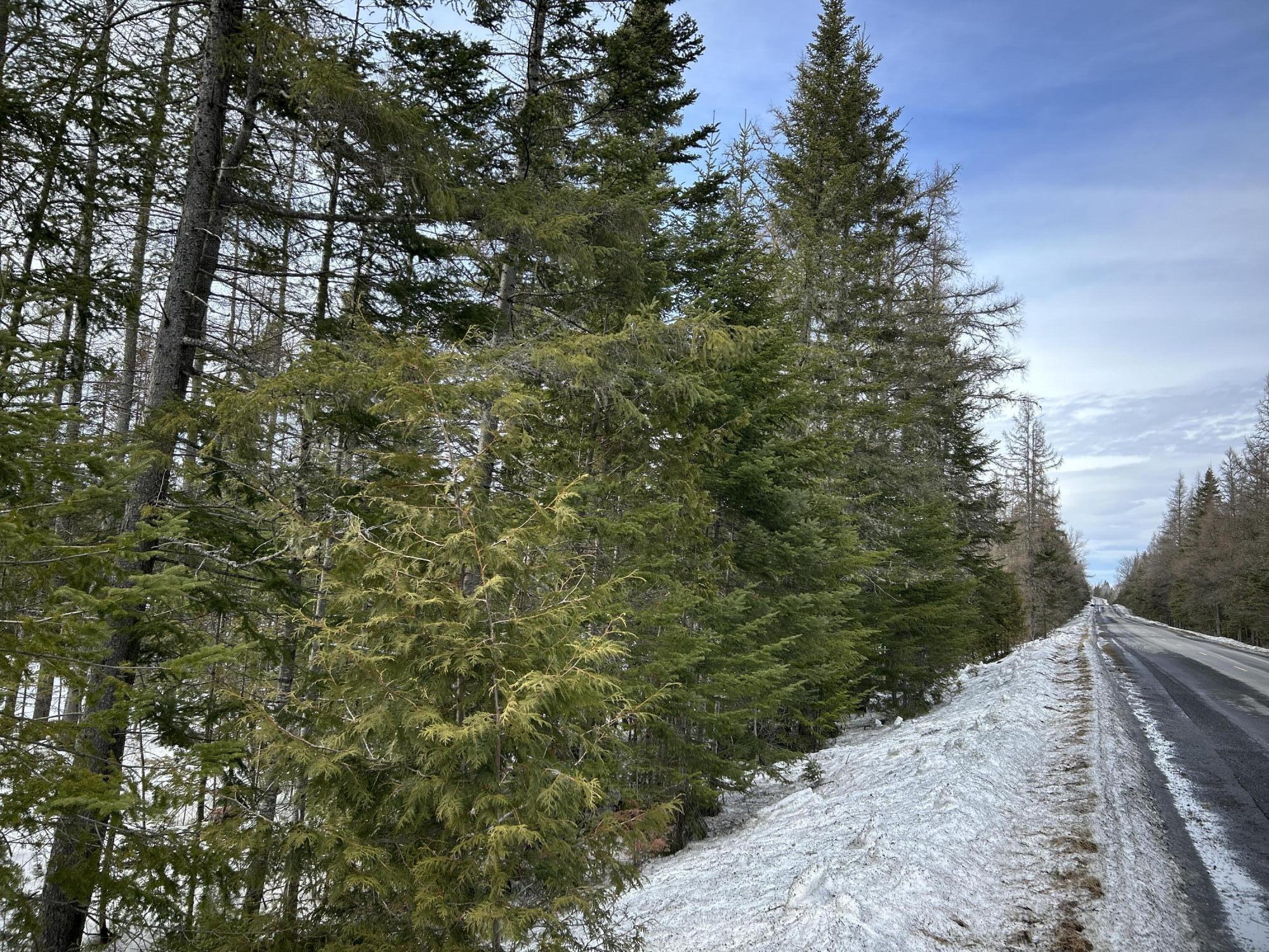 04-45.10,0 East Jemtland Road Connor Twp ME 04736
