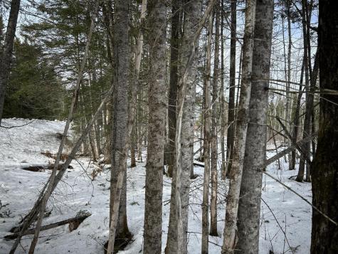 04-45.10,0 East Jemtland Road Connor Twp ME 04736