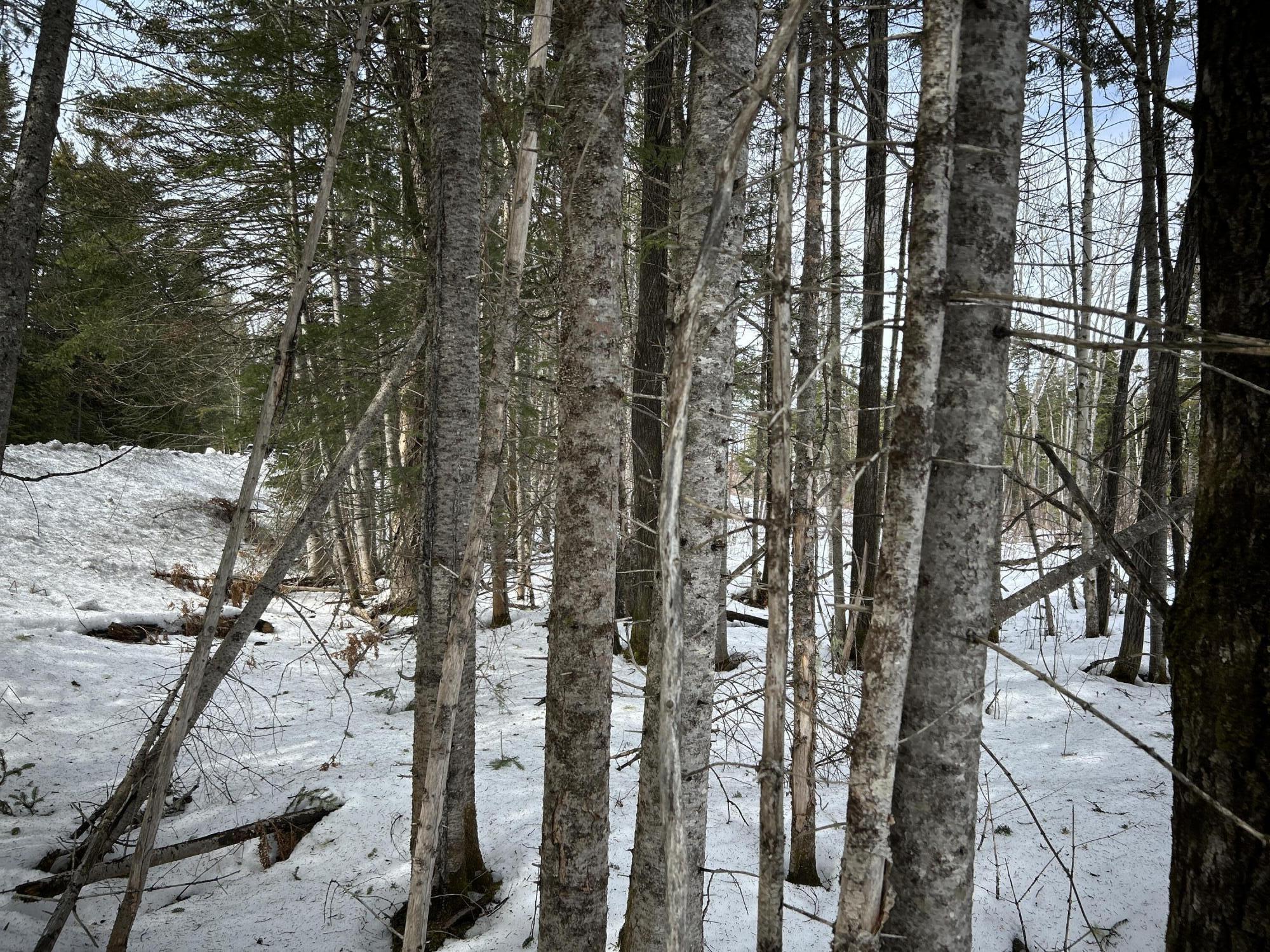 04-45.10,0 East Jemtland Road Connor Twp ME 04736
