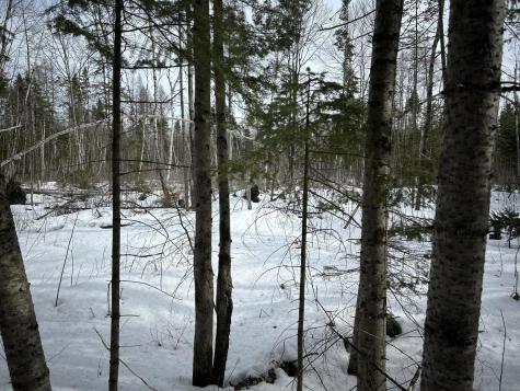 04-45.10,0 East Jemtland Road Connor Twp ME 04736