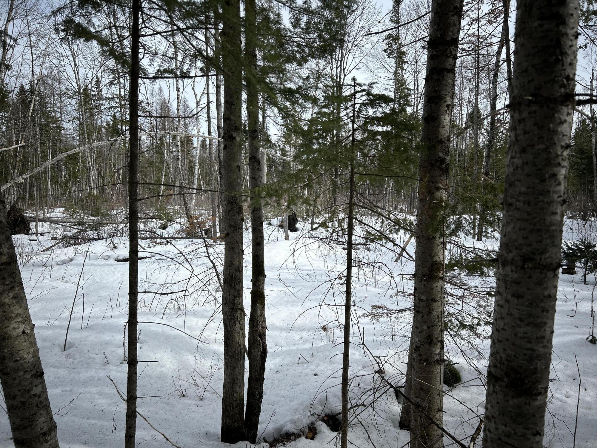 04-45.10,0 East Jemtland Road Connor Twp ME 04736