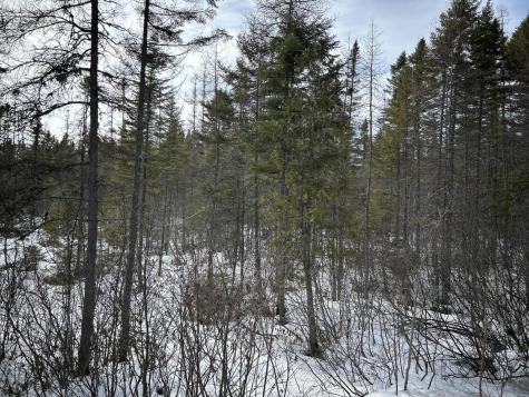 04-45.10,0 East Jemtland Road Connor Twp ME 04736