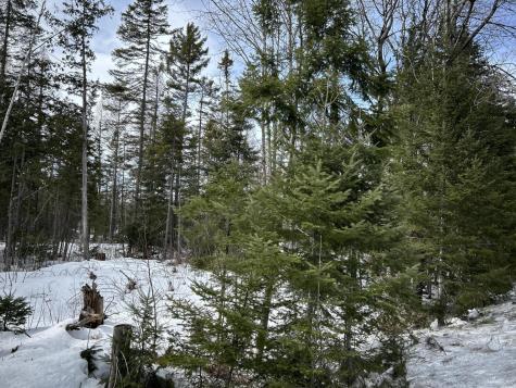 04-45.10,0 East Jemtland Road Connor Twp ME 04736