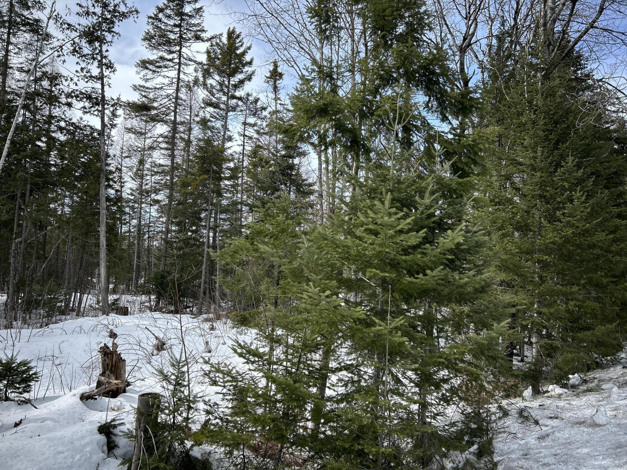 04-45.10,0 East Jemtland Road Connor Twp ME 04736