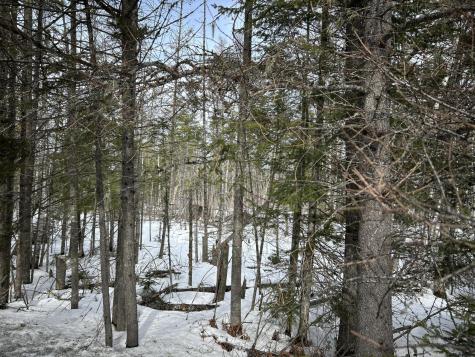 04-45.10,0 East Jemtland Road Connor Twp ME 04736
