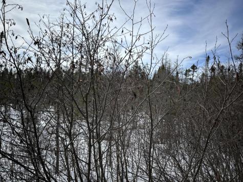 04-45.10,0 East Jemtland Road Connor Twp ME 04736