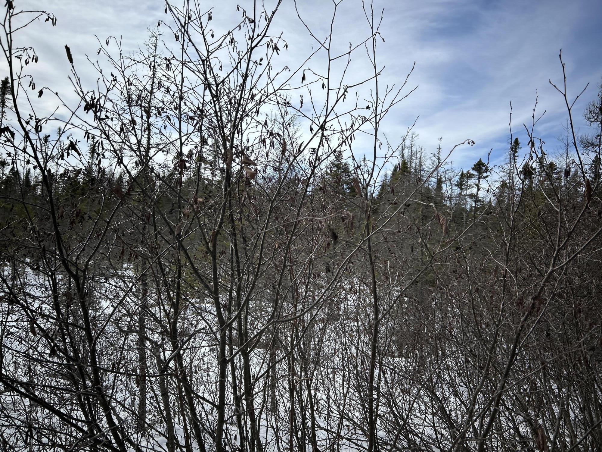 04-45.10,0 East Jemtland Road Connor Twp ME 04736