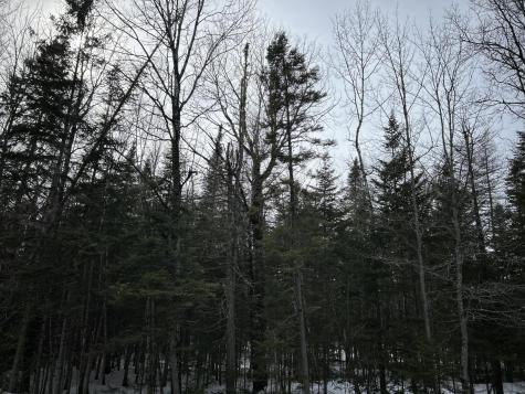 04-45.10,0 East Jemtland Road Connor Twp ME 04736