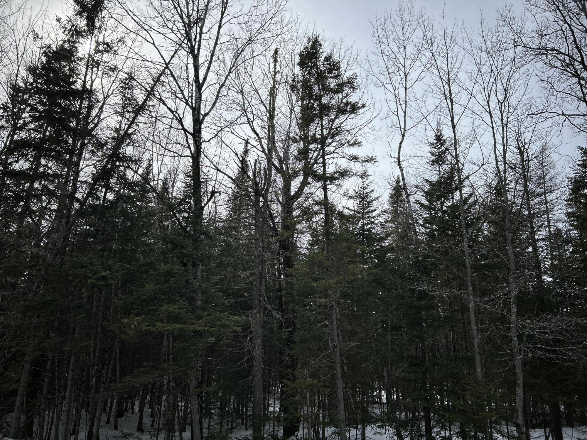 04-45.10,0 East Jemtland Road Connor Twp ME 04736