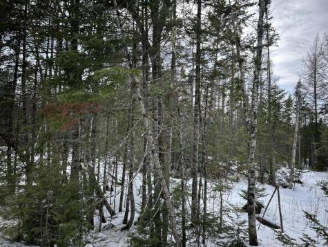 04-45.10,0 East Jemtland Road Connor Twp ME 04736