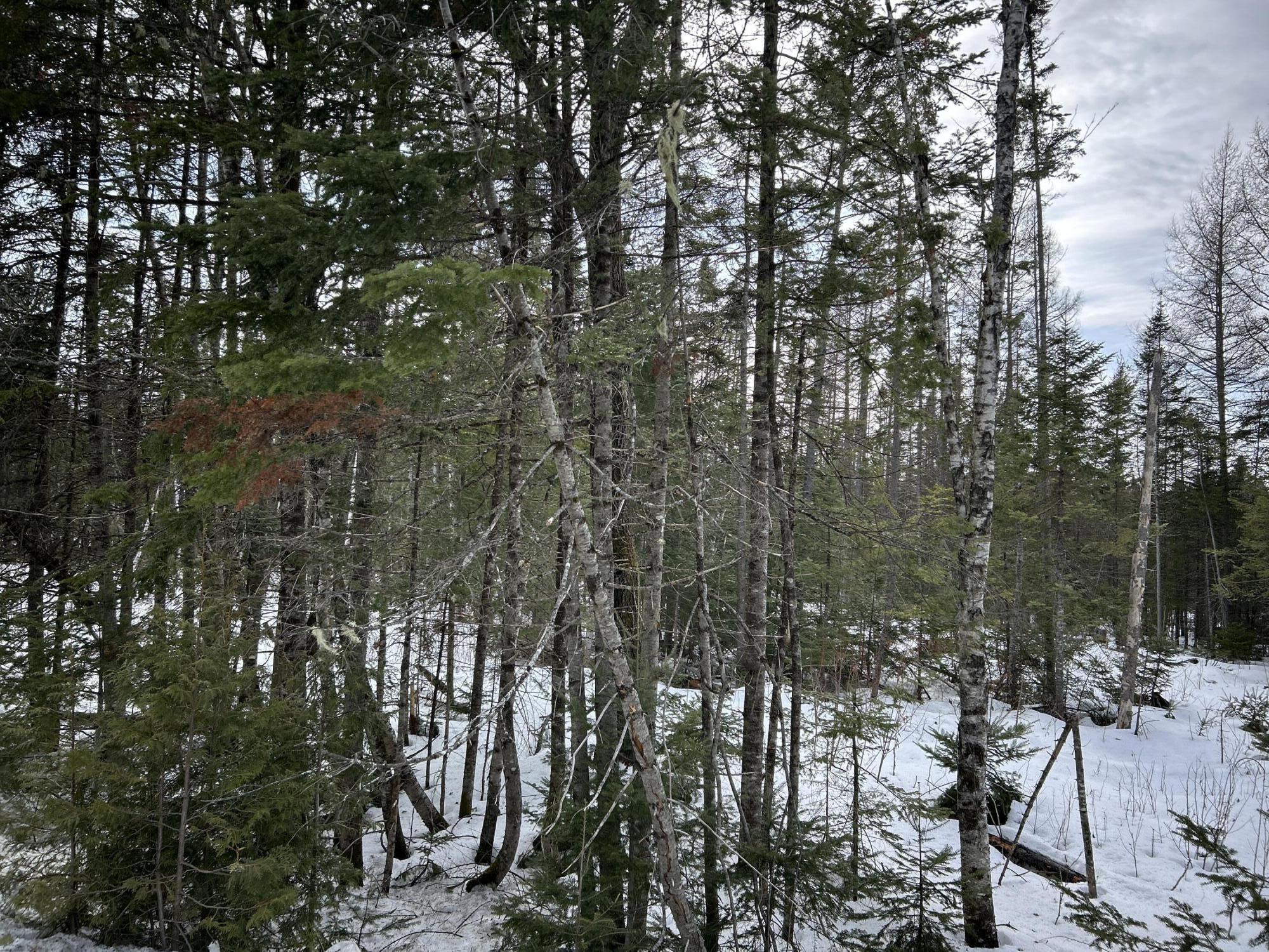 04-45.10,0 East Jemtland Road Connor Twp ME 04736