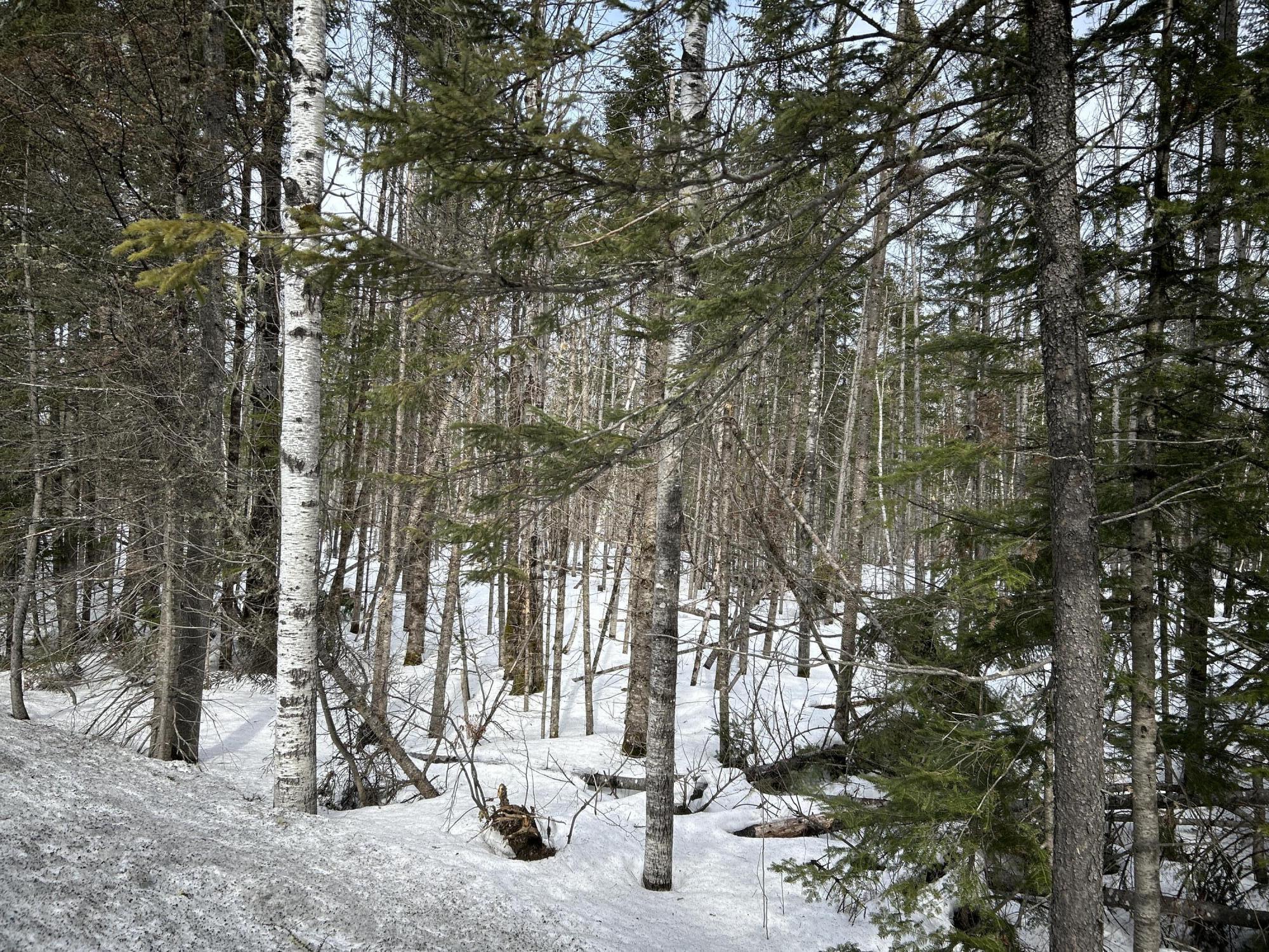 04-45.10,0 East Jemtland Road Connor Twp ME 04736