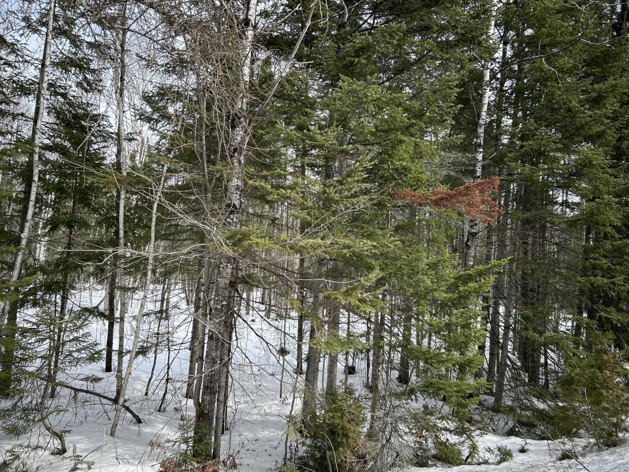 04-45.10,0 East Jemtland Road Connor Twp ME 04736