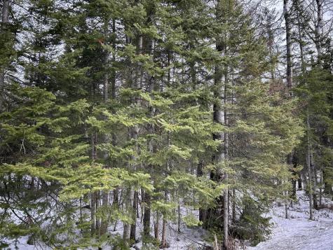 04-45.10,0 East Jemtland Road Connor Twp ME 04736