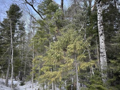 04-45.10,0 East Jemtland Road Connor Twp ME 04736