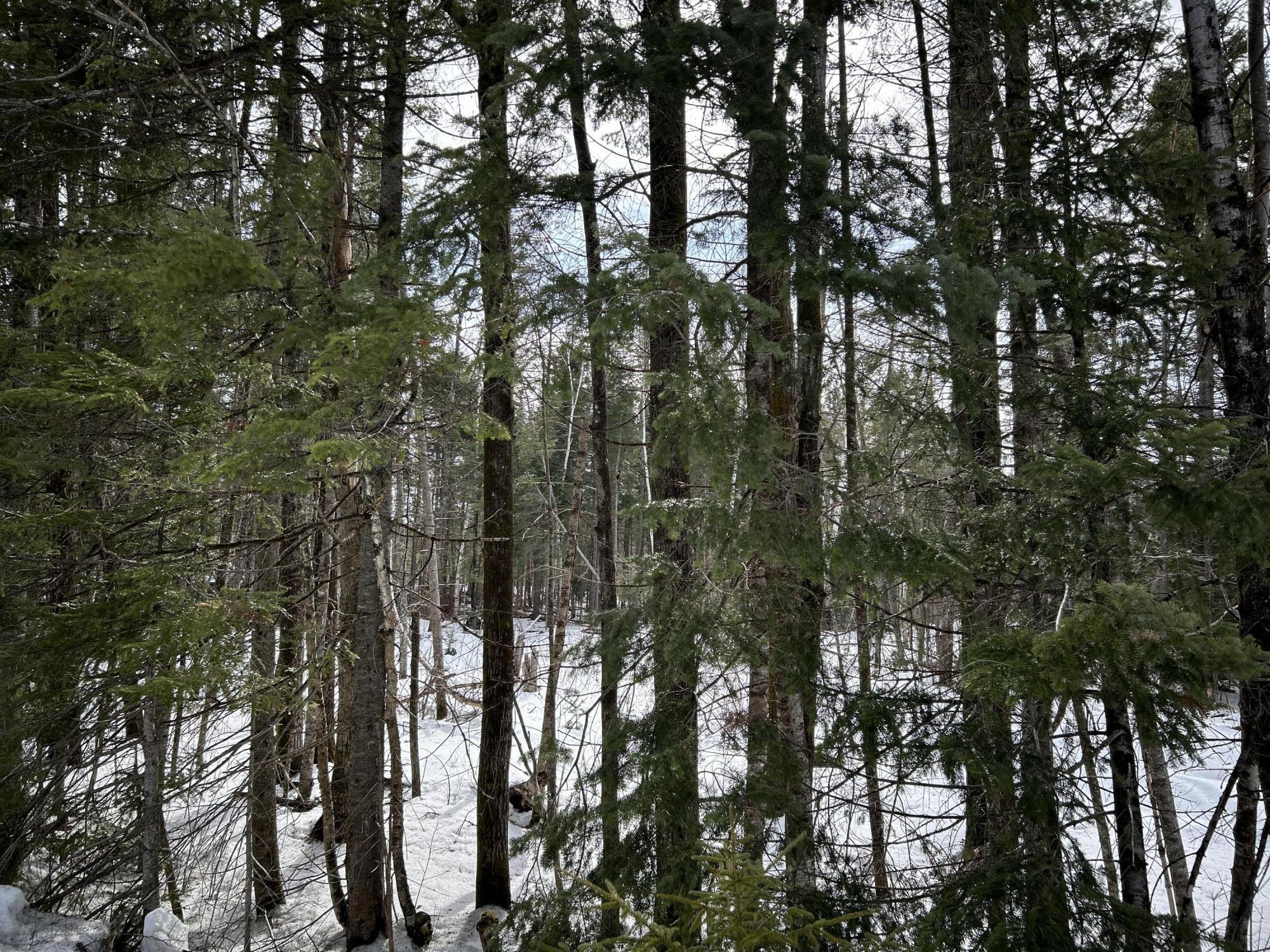 04-45.10,0 East Jemtland Road Connor Twp ME 04736