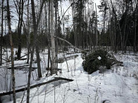 04-45.10,0 East Jemtland Road Connor Twp ME 04736