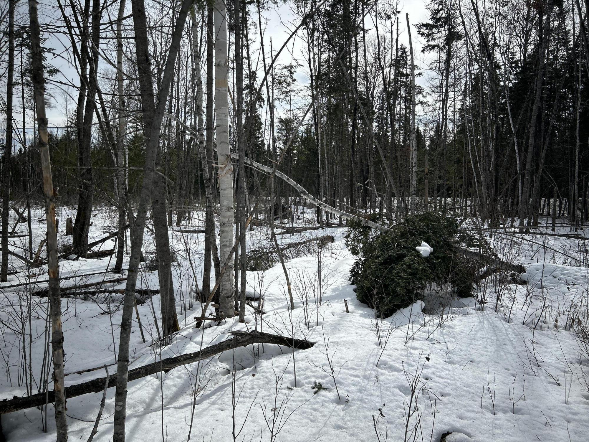 04-45.10,0 East Jemtland Road Connor Twp ME 04736