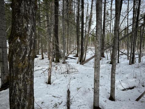 04-45.10,0 East Jemtland Road Connor Twp ME 04736