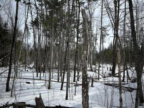 04-45.10,0 East Jemtland Road Connor Twp ME 04736