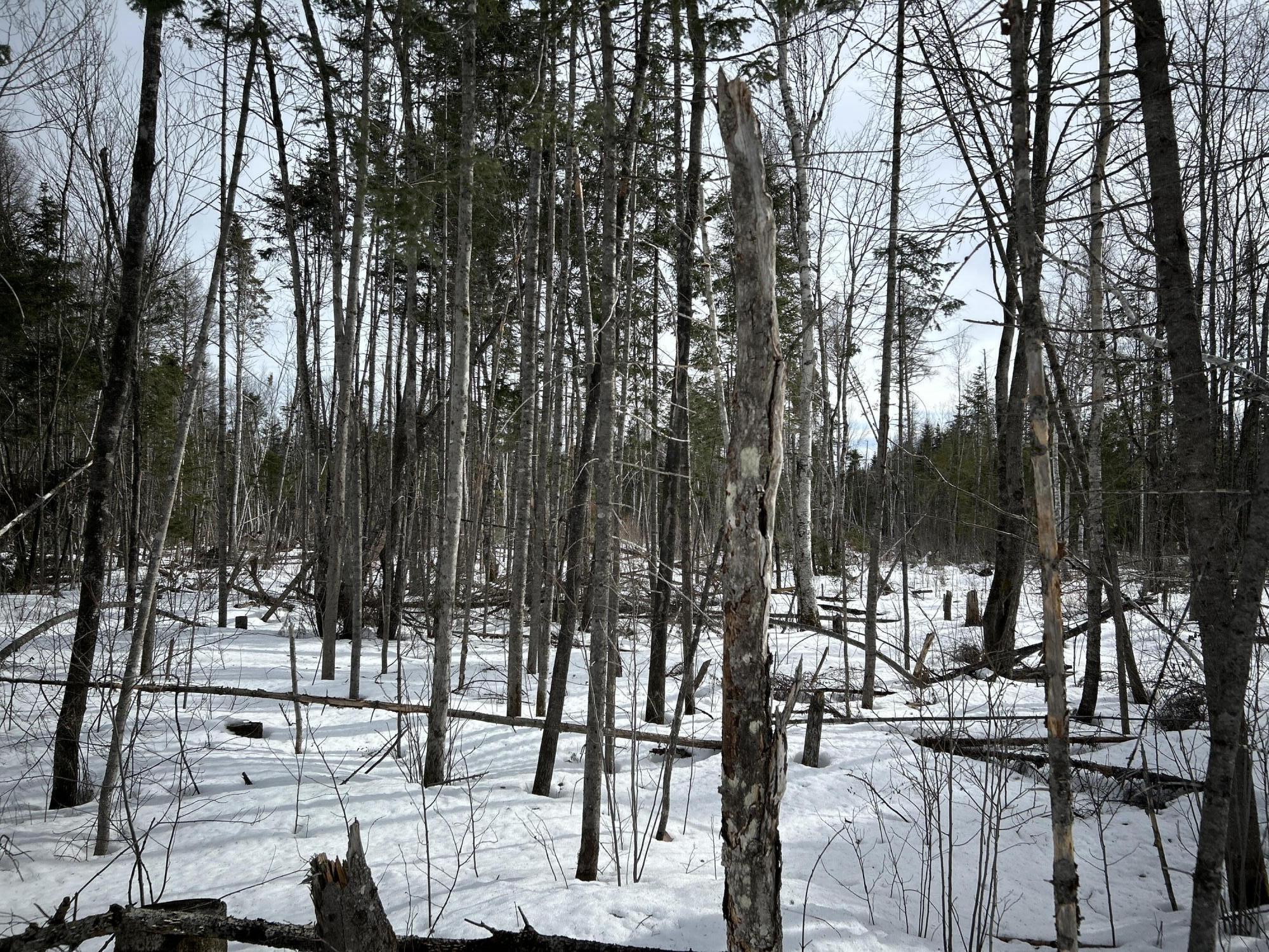 04-45.10,0 East Jemtland Road Connor Twp ME 04736