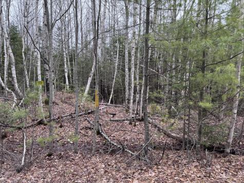 24&36 Wolf Run Trail Greenbush ME 04418