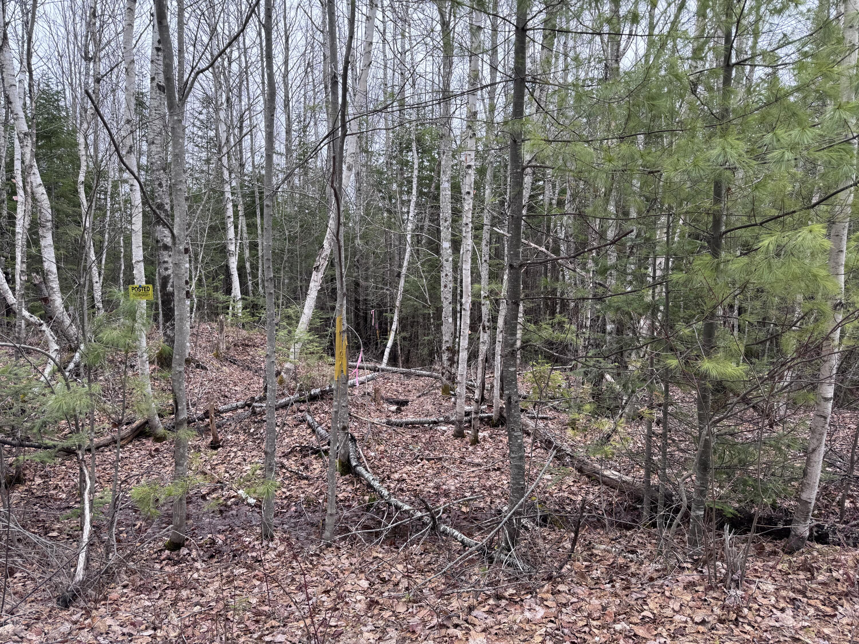 24&36 Wolf Run Trail Greenbush ME 04418