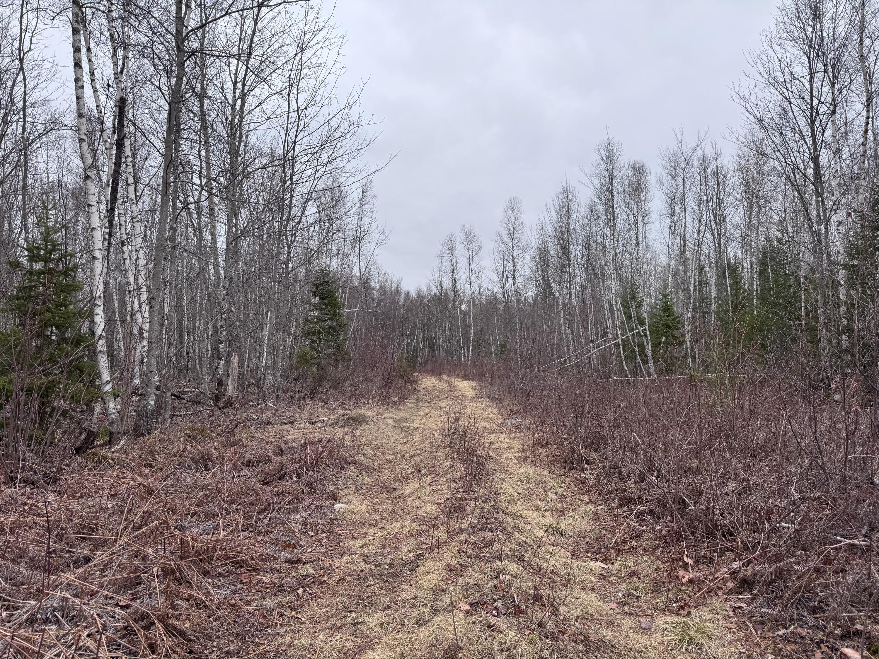 24&36 Wolf Run Trail Greenbush ME 04418