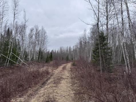 24&36 Wolf Run Trail Greenbush ME 04418