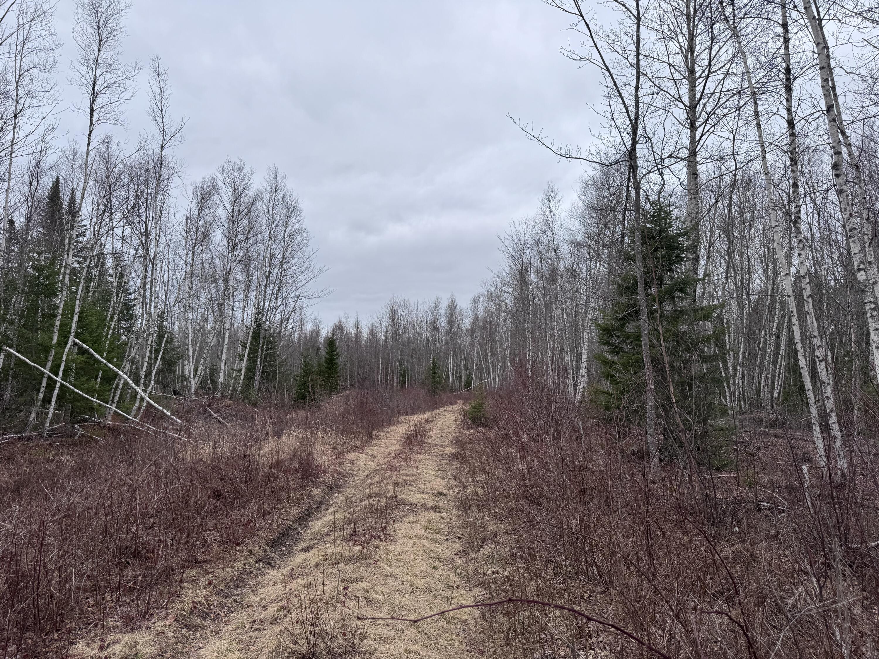24&36 Wolf Run Trail Greenbush ME 04418