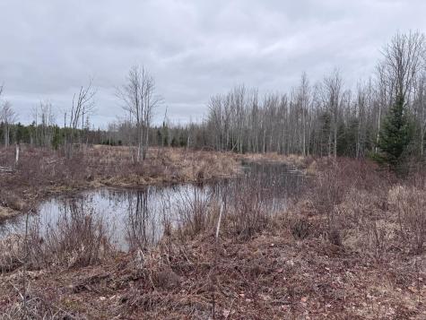 24&36 Wolf Run Trail Greenbush ME 04418