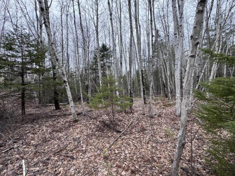 24&36 Wolf Run Trail Greenbush ME 04418