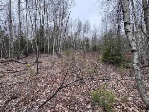 24&36 Wolf Run Trail Greenbush ME 04418