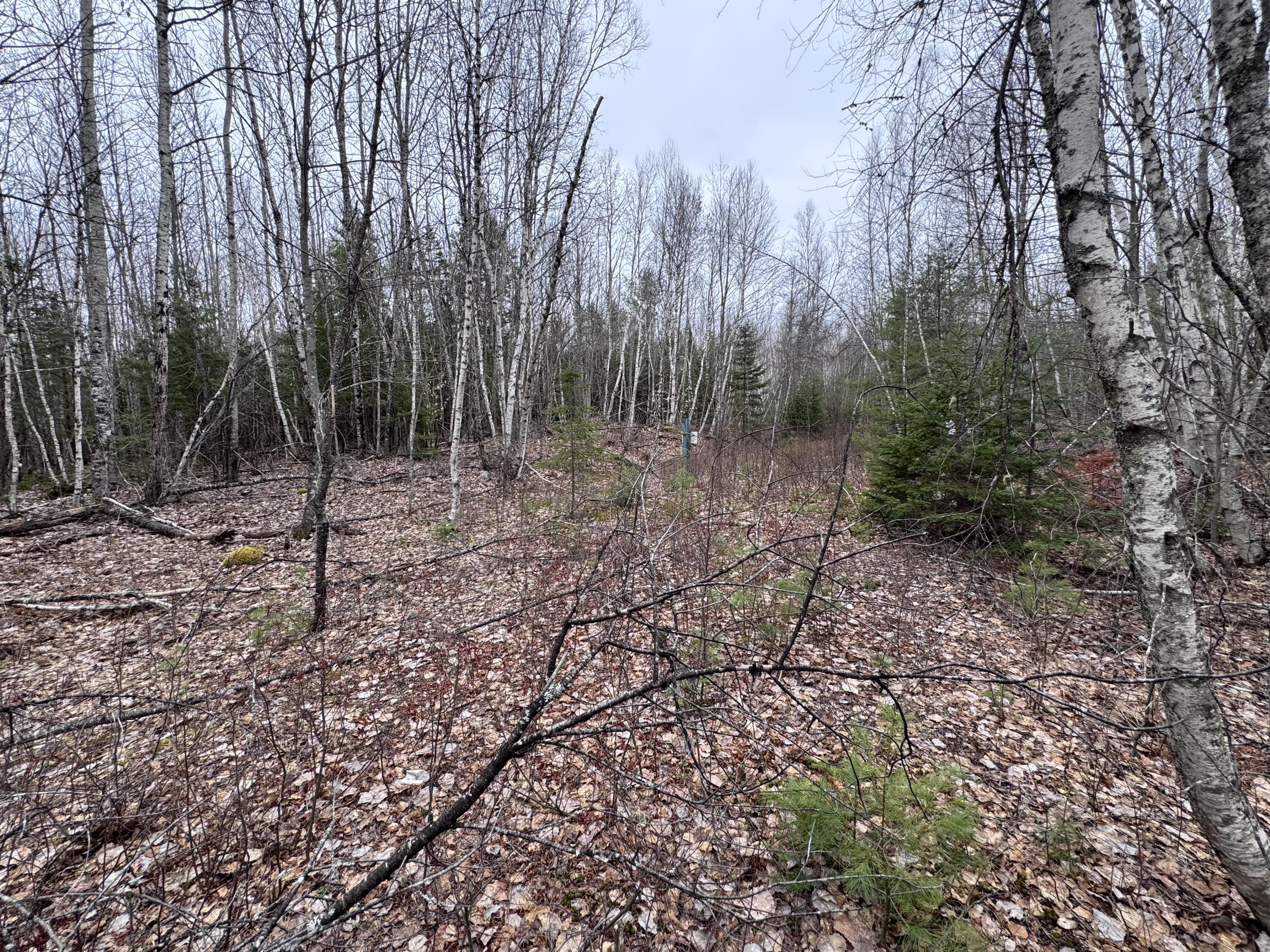 24&36 Wolf Run Trail Greenbush ME 04418