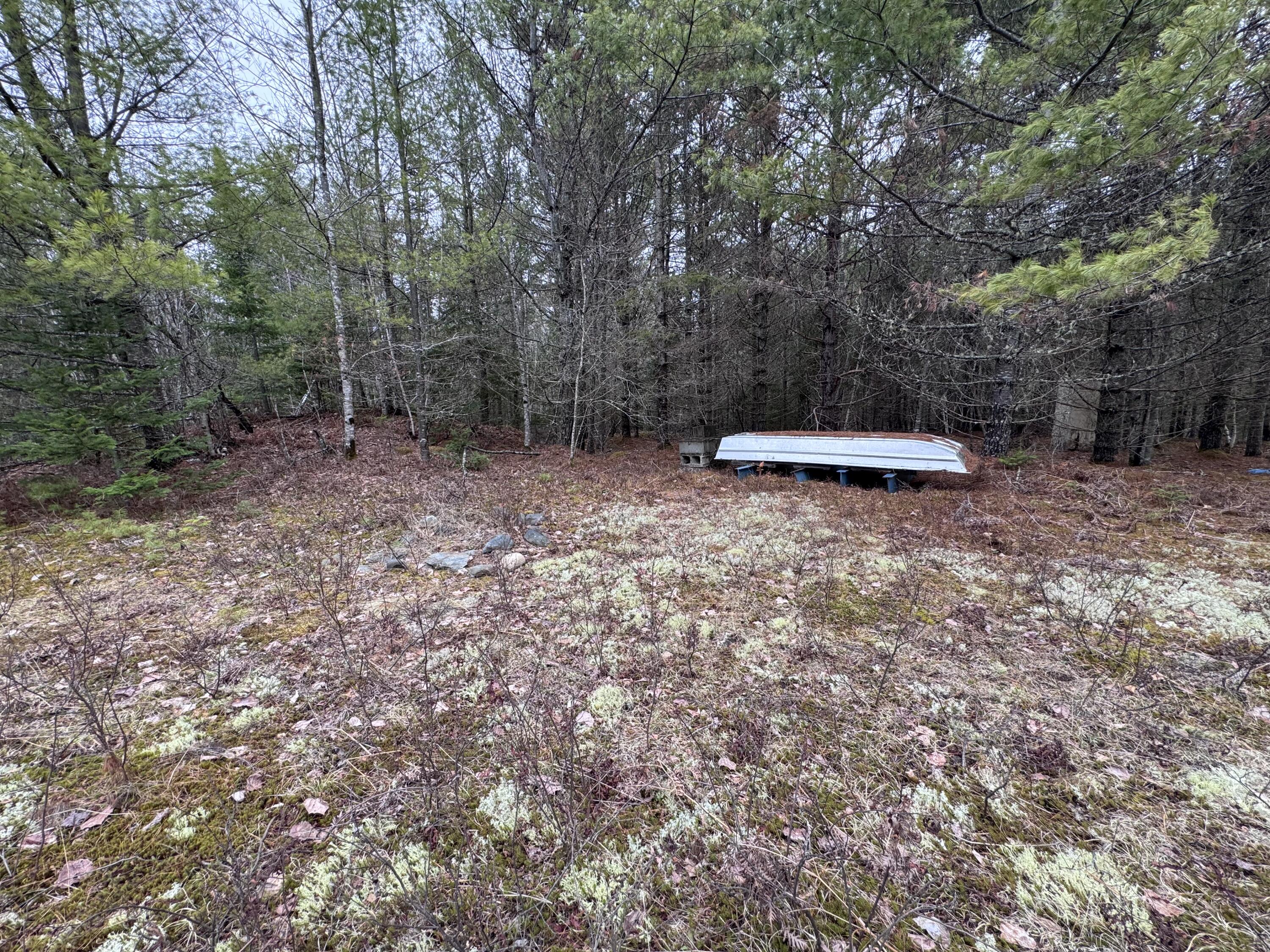 24&36 Wolf Run Trail Greenbush ME 04418