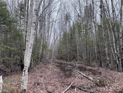24&36 Wolf Run Trail Greenbush ME 04418