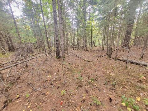 R8 L4-6 Shingle Mill Drive New Vineyard ME 04956