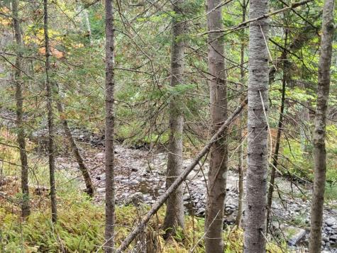 R8 L4-6 Shingle Mill Drive New Vineyard ME 04956