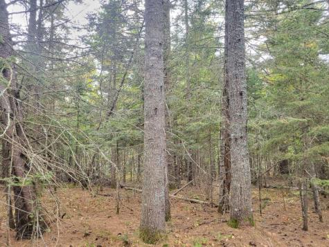 R8 L4-6 Shingle Mill Drive New Vineyard ME 04956