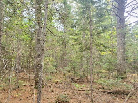 R8 L4-6 Shingle Mill Drive New Vineyard ME 04956