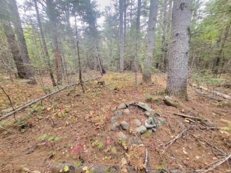 R8 L4-6 Shingle Mill Drive New Vineyard ME 04956