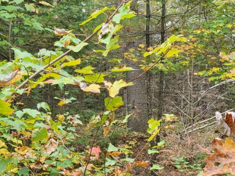 R8 L4-6 Shingle Mill Drive New Vineyard ME 04956