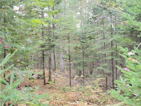 R8 L4-6 Shingle Mill Drive New Vineyard ME 04956