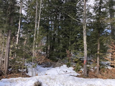 Lot 11 Anderson Road Sebago ME 04029