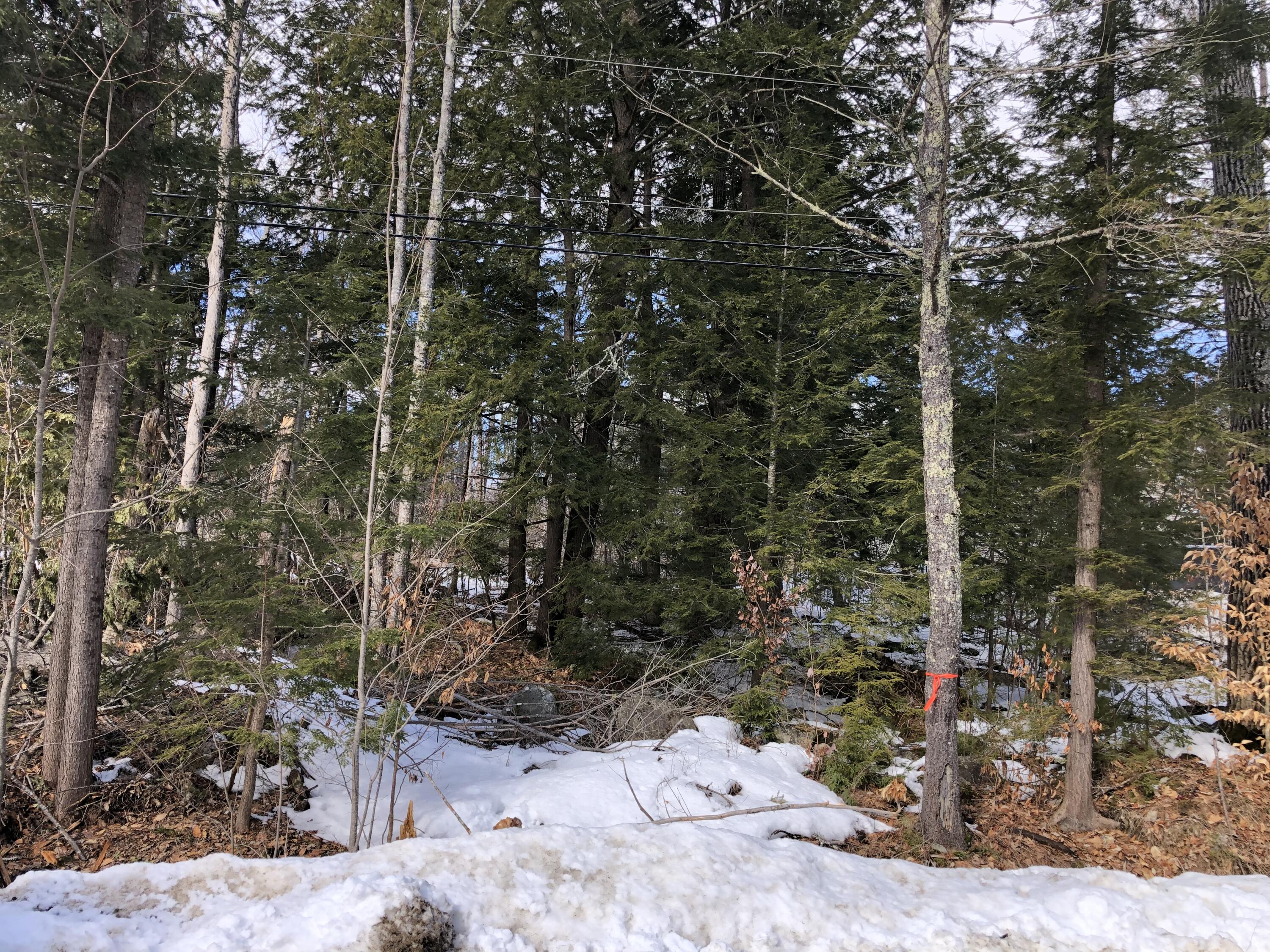 Lot 11 Anderson Road Sebago ME 04029