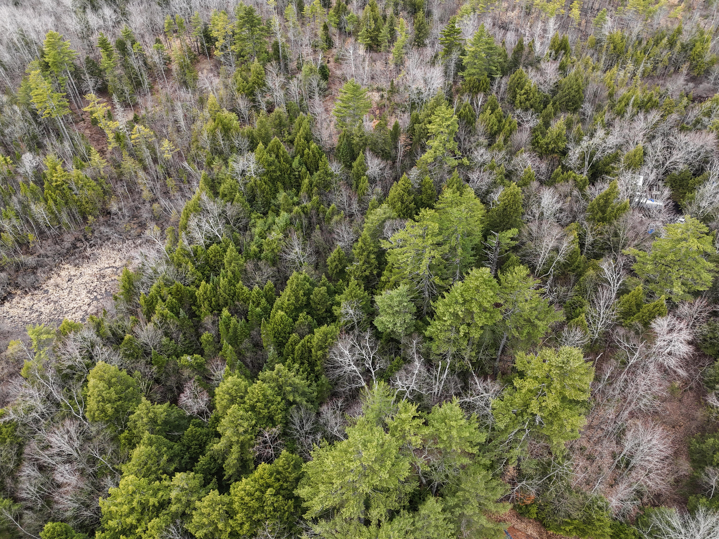 55 Salmon Road Madison ME 04950