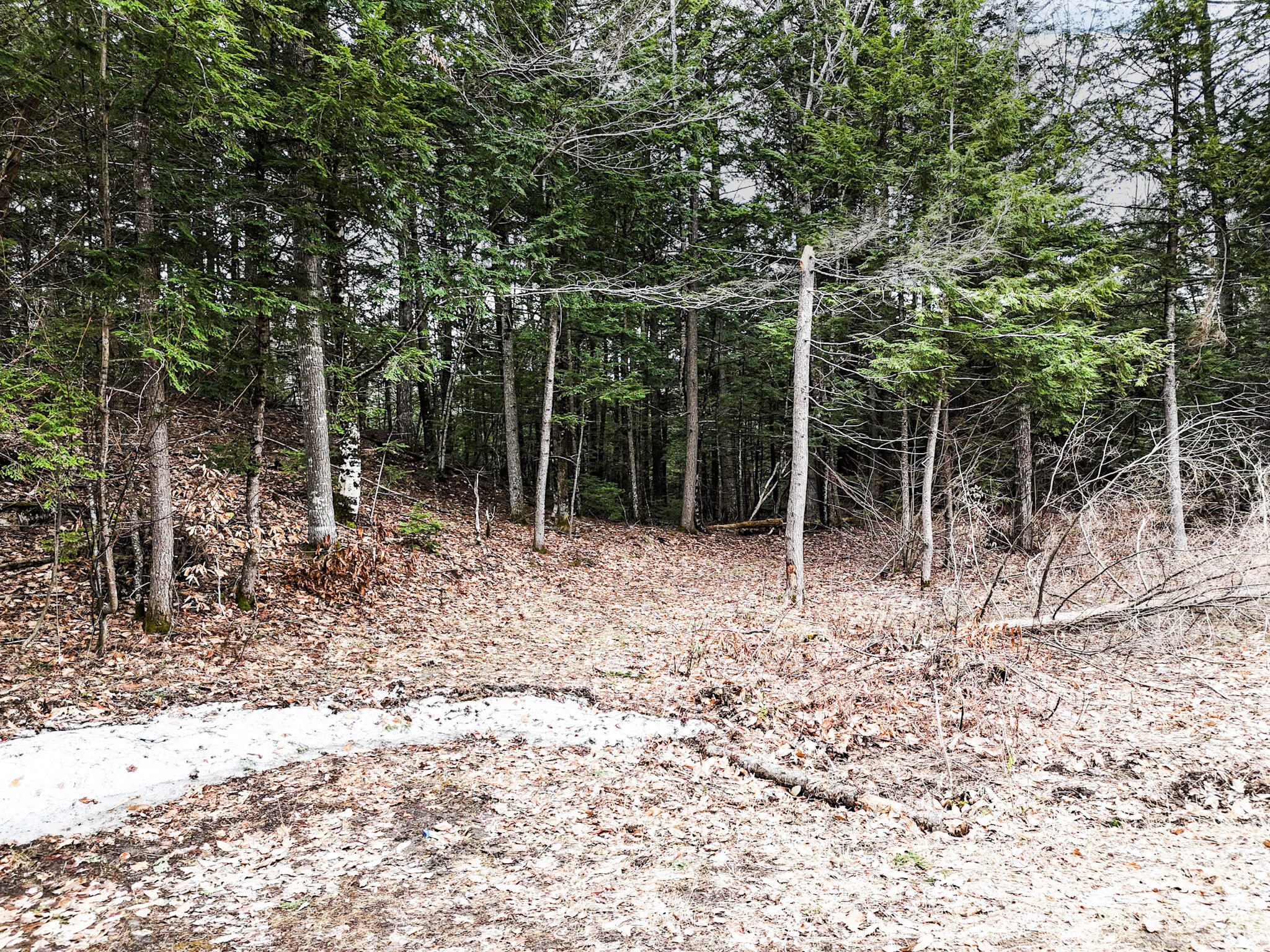 55 Salmon Road Madison ME 04950