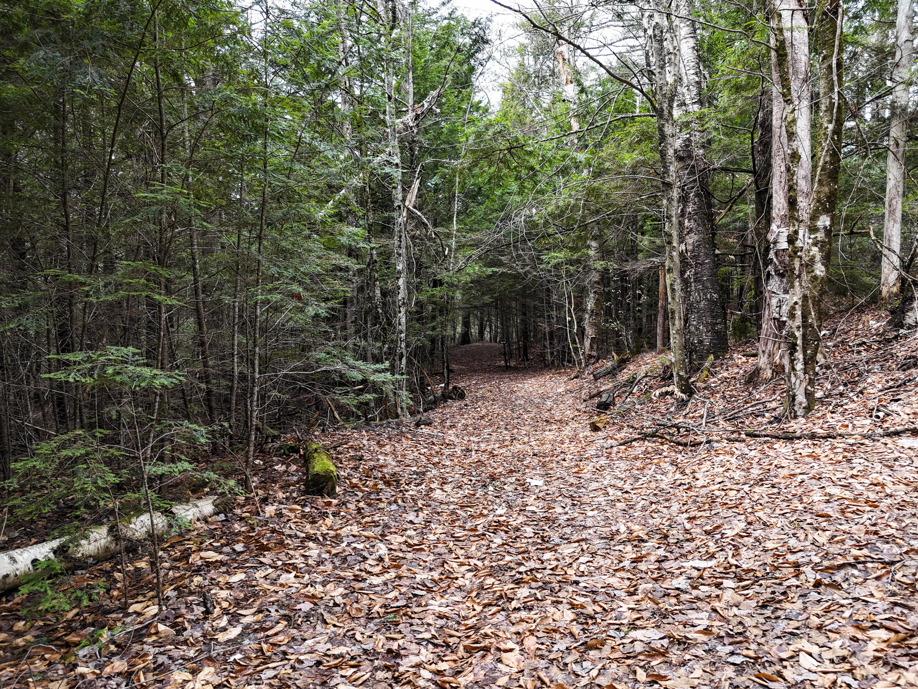 55 Salmon Road Madison ME 04950